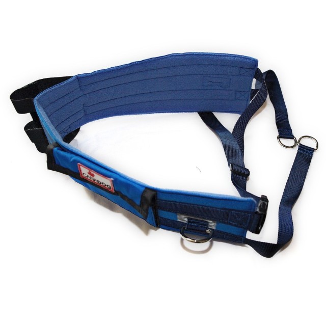 The Canadog Deluxe belt with it's pocket, water bottle and thick padding