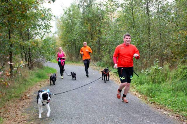 Canicross Midlands have a wide variety of routes to run for novice and more experienced canicrossers