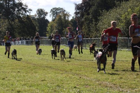Is your dog ready for the stress of a start line? - Photo courtesy of tzruns.com
