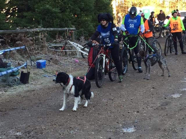 Remember the sport of bikejor is primarily about fun! Keep it fun and safe for your dog at all times and don't be afraid to ask for advice.