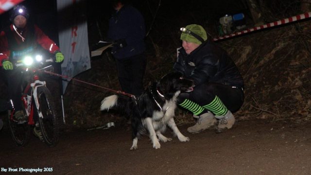 Running dogs at night can be great fun and very exciting! - Photo courtesy of Fay Frost Photography
